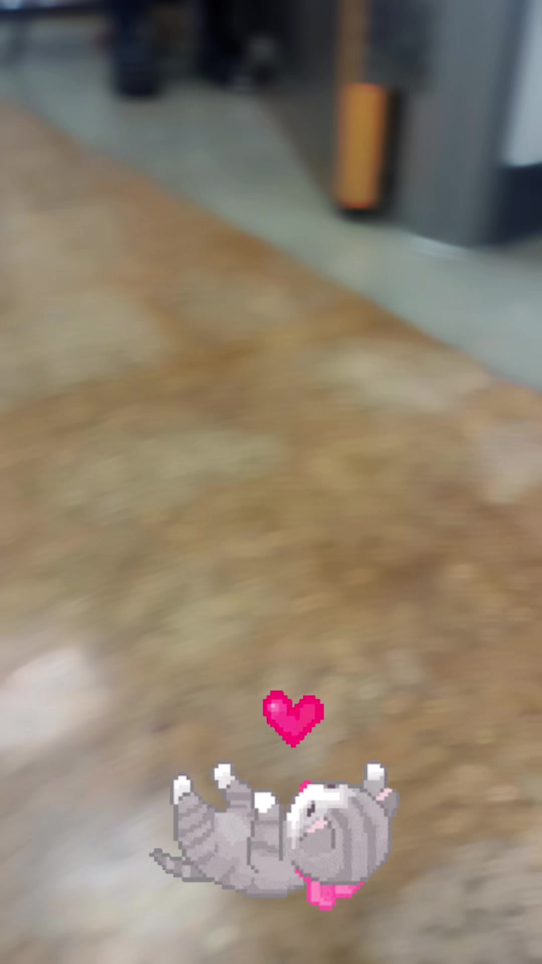 @Ghizlane