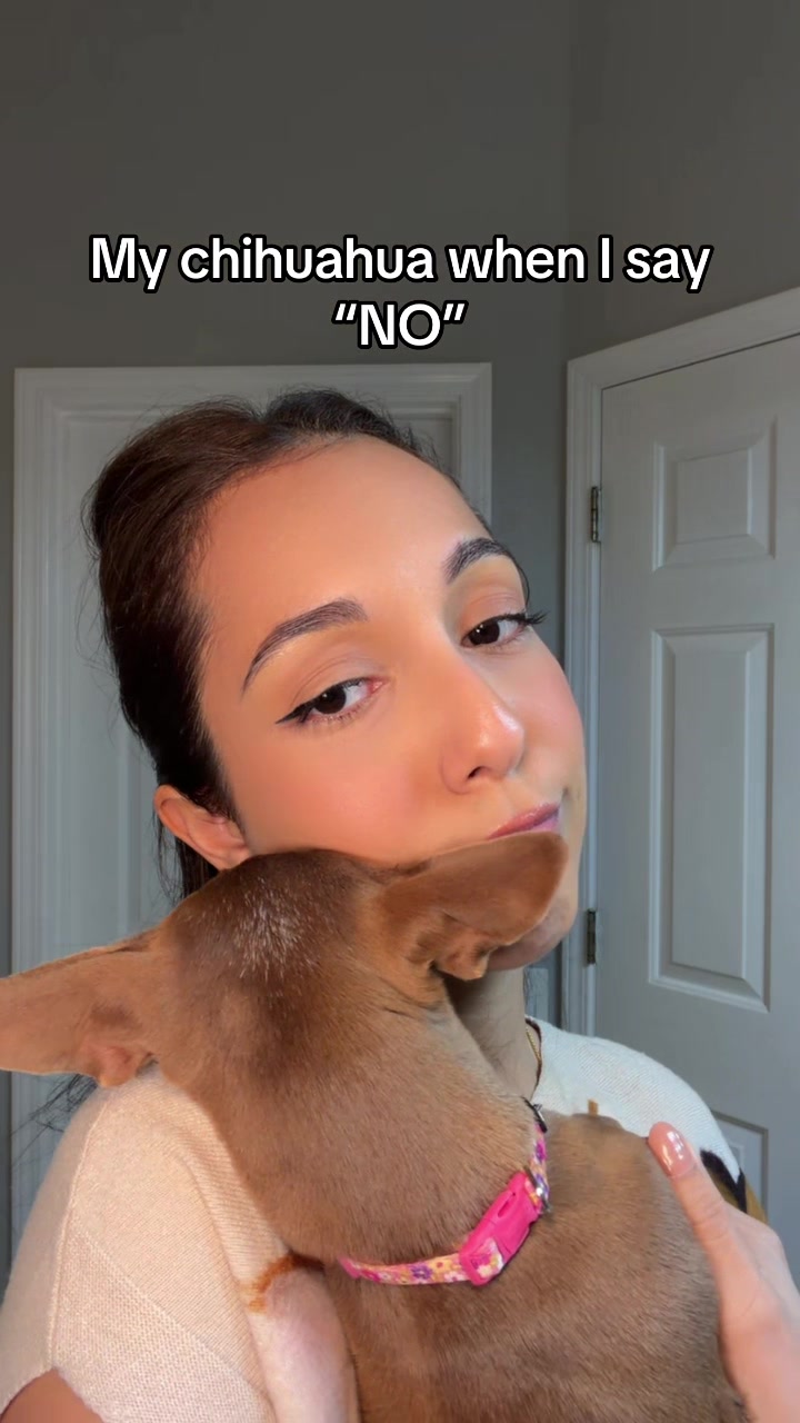 @beautybycamix