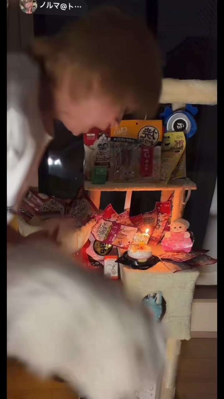 @kagi🗝️neco🐱②