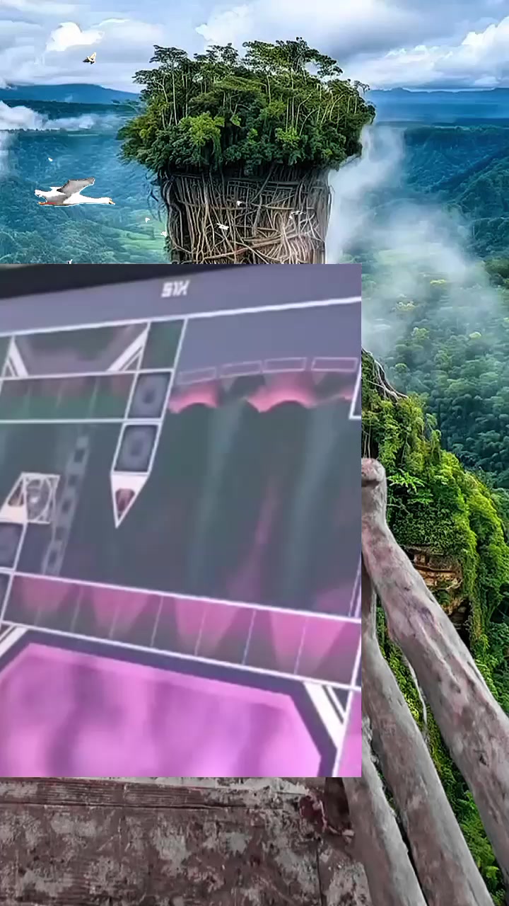@𝗞𝗮𝗽𝗮