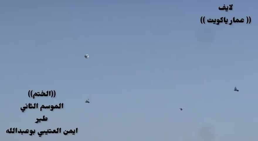 @thamer.alfadel