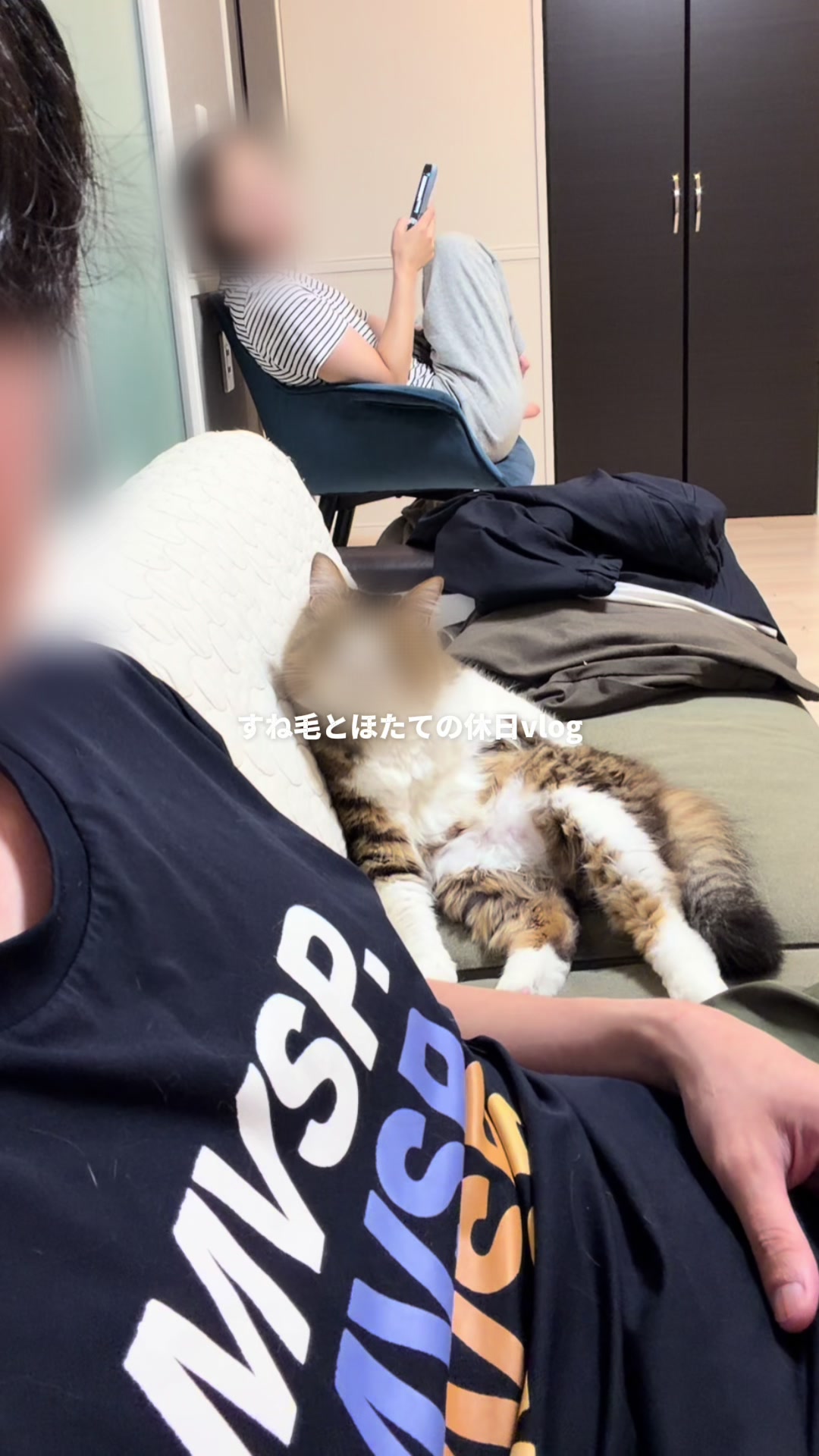 @ほたてくん