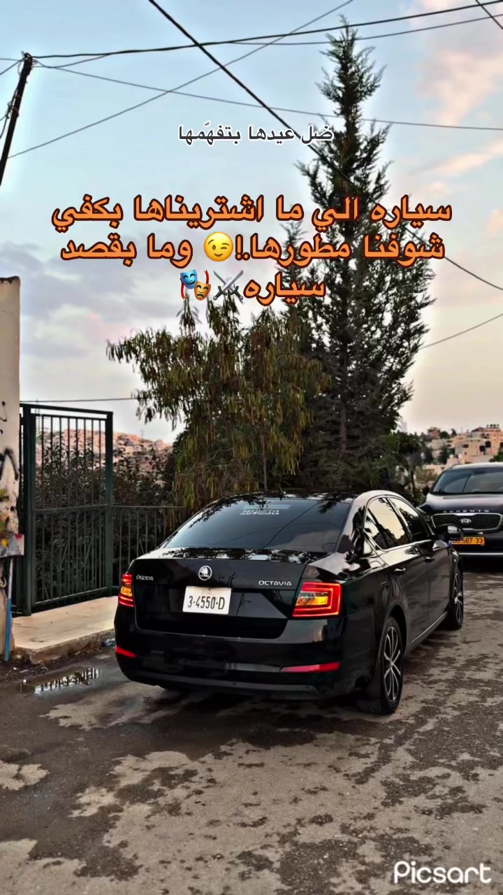 @ارنوب 360 ♥️