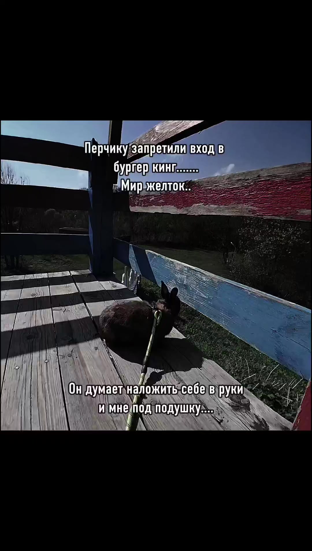 @кабачковый оладушек