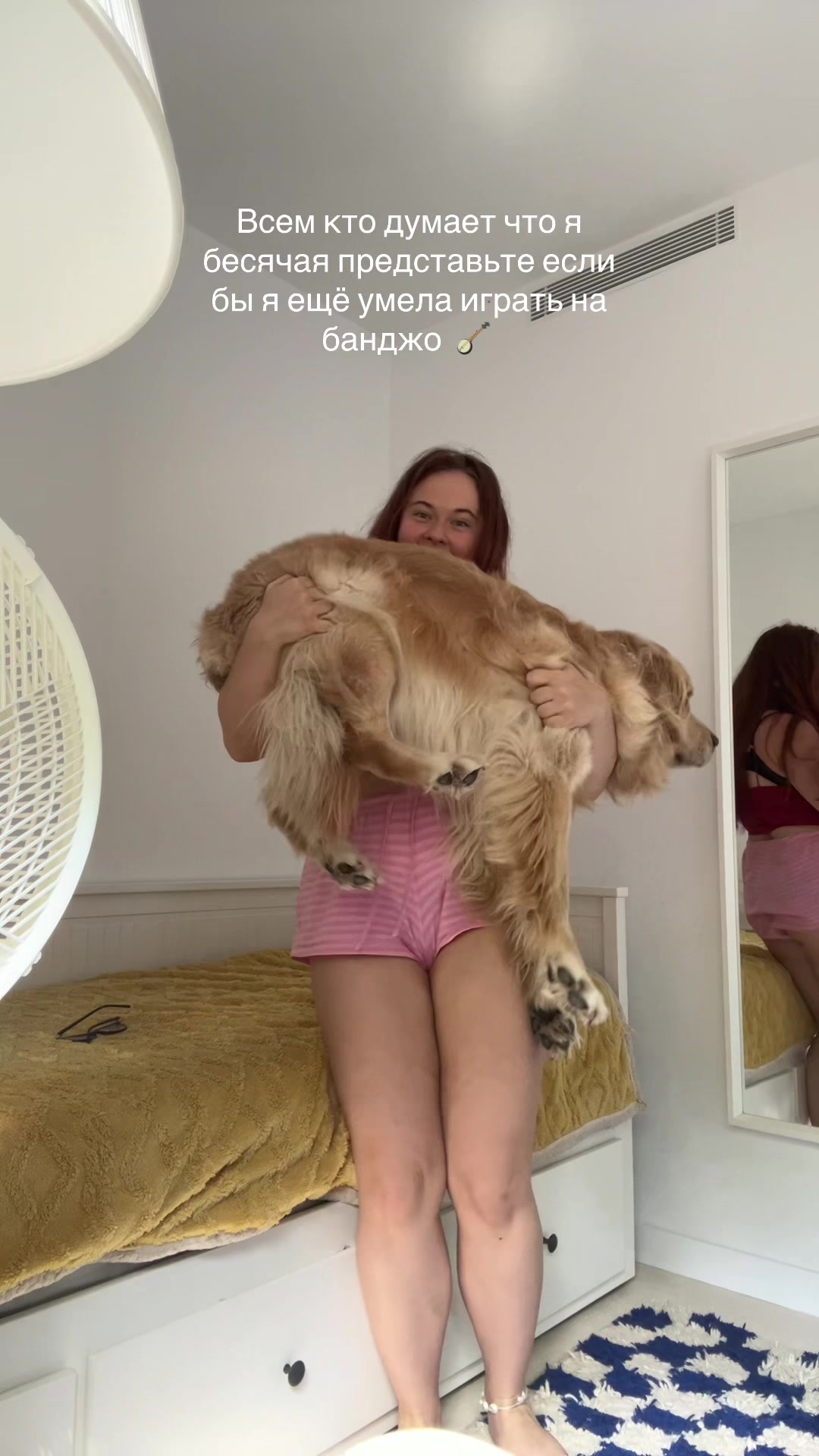 @winivino 🦔