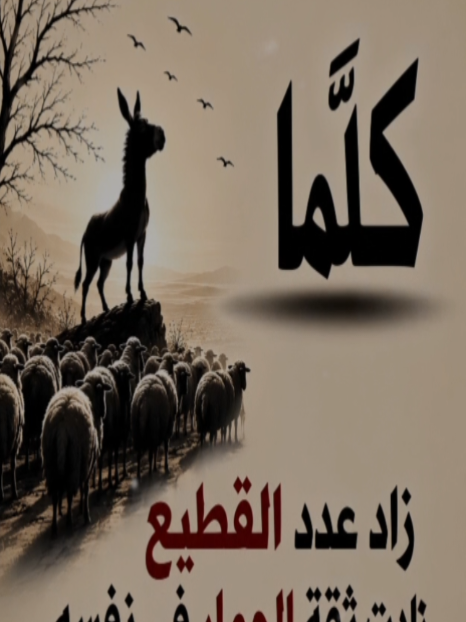 @أبـوُقـۙاسۣۗـۙـــٓٓــٰـ،ٓـــمْ