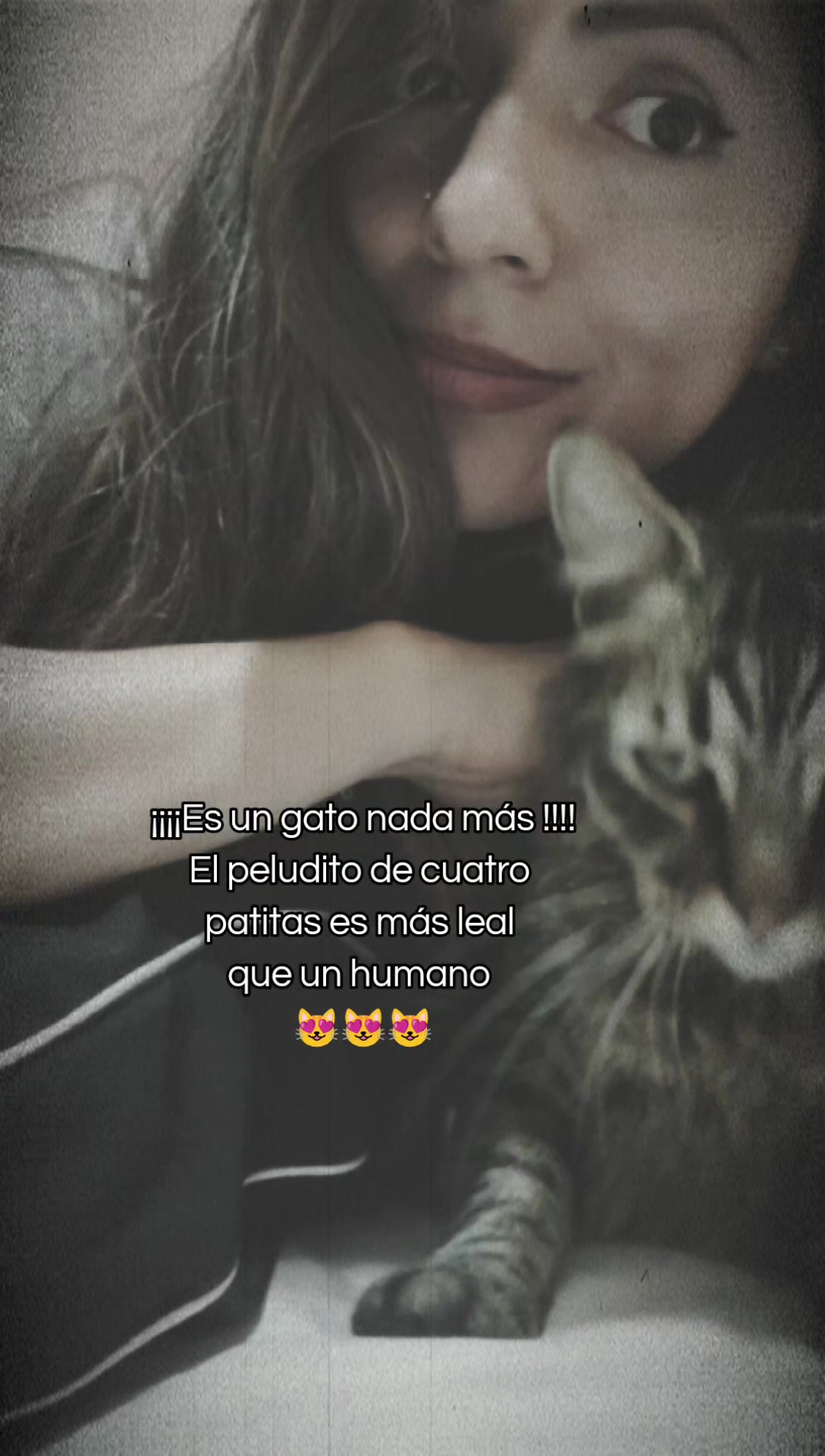 @gatita 😻