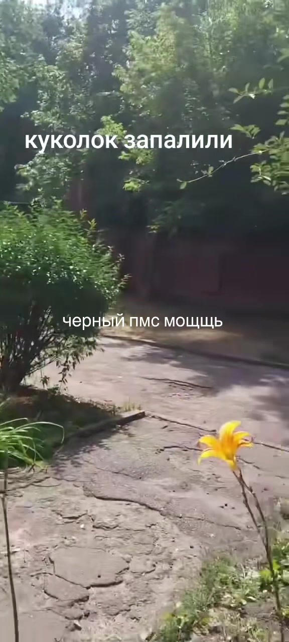 @Мишаня Траков