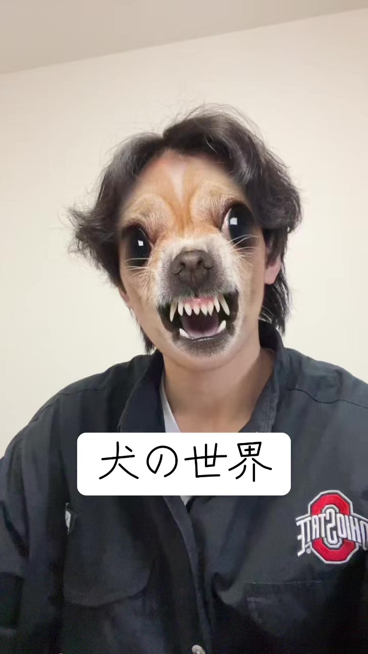 @玉川 寿紀 (毎日投稿)