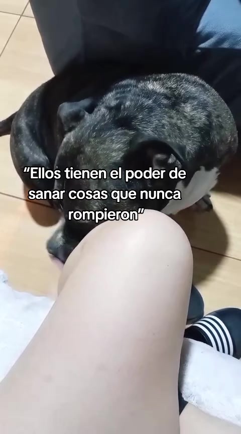 @Pamela Bocangel