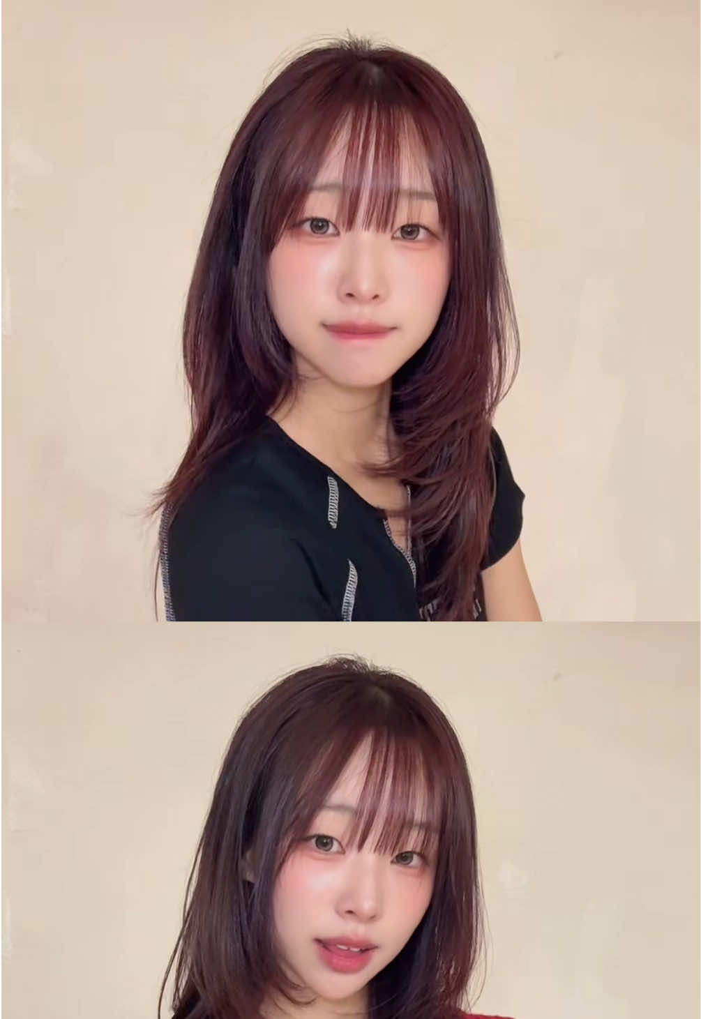 @🌹장미 jangmi🛡️