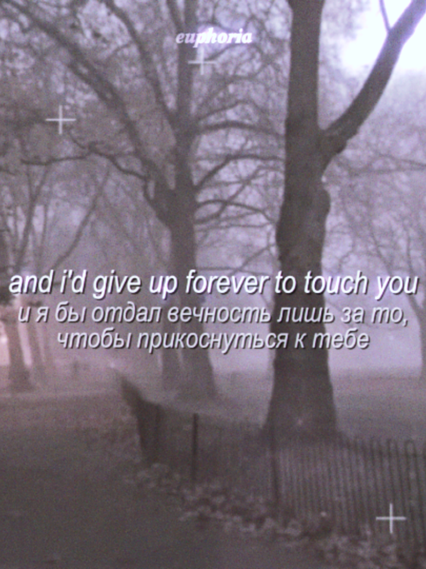 @'.𝙚́𝙪𝙥𝙝𝙤𝙧𝙞𝙖`🪷 ˎˊ˗