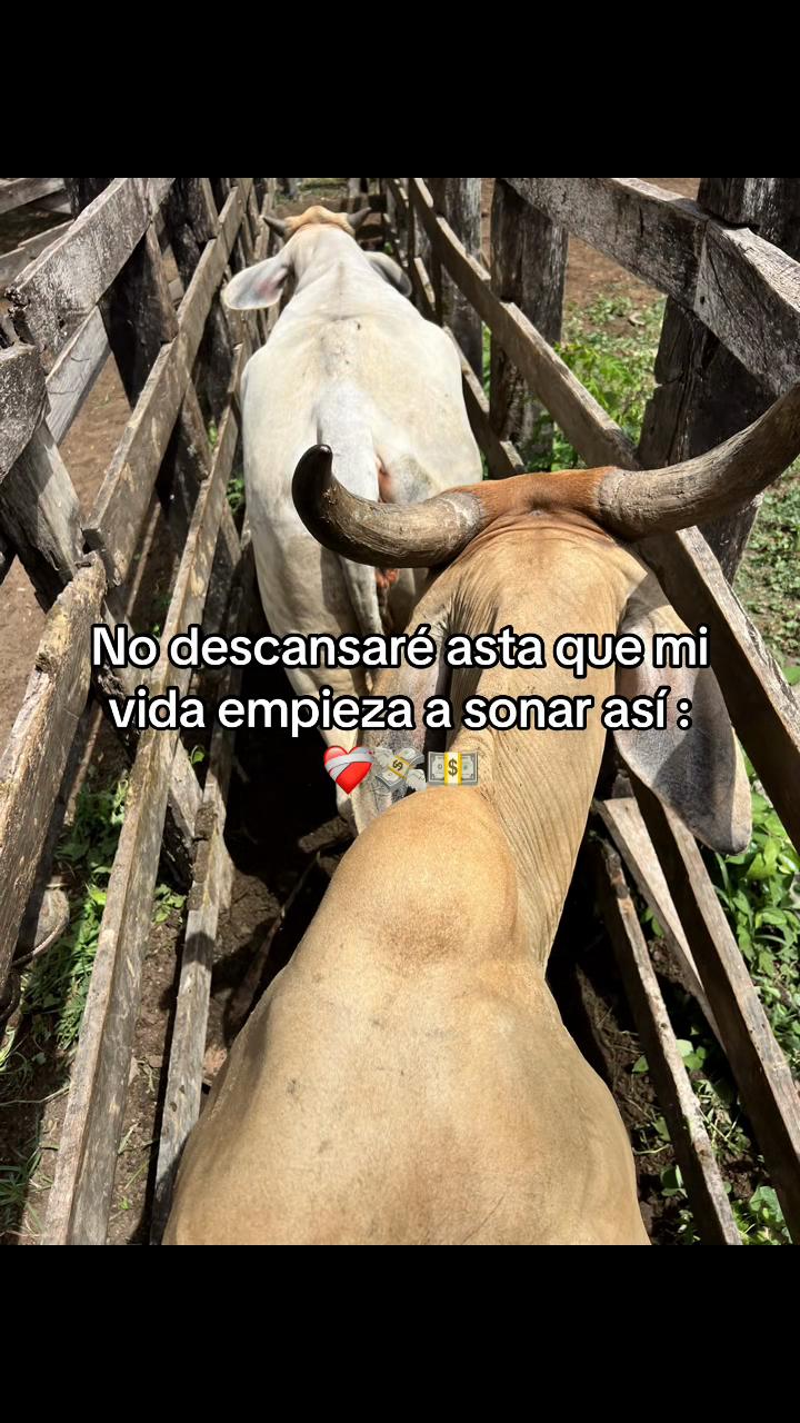 @Liss! 🤠