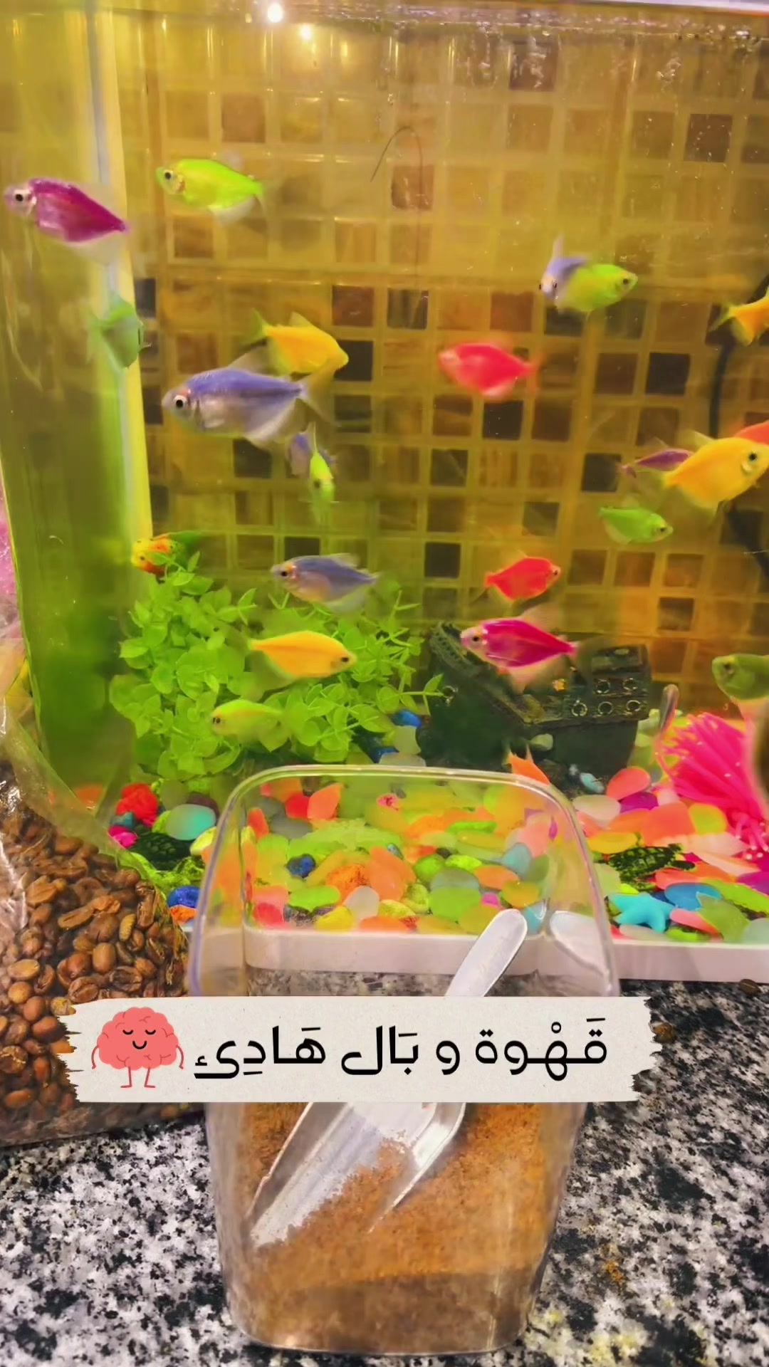 @๐ุฃู
ูุฑุฉ๐ ๐ุงุญู
ุฏ โค๏ธ