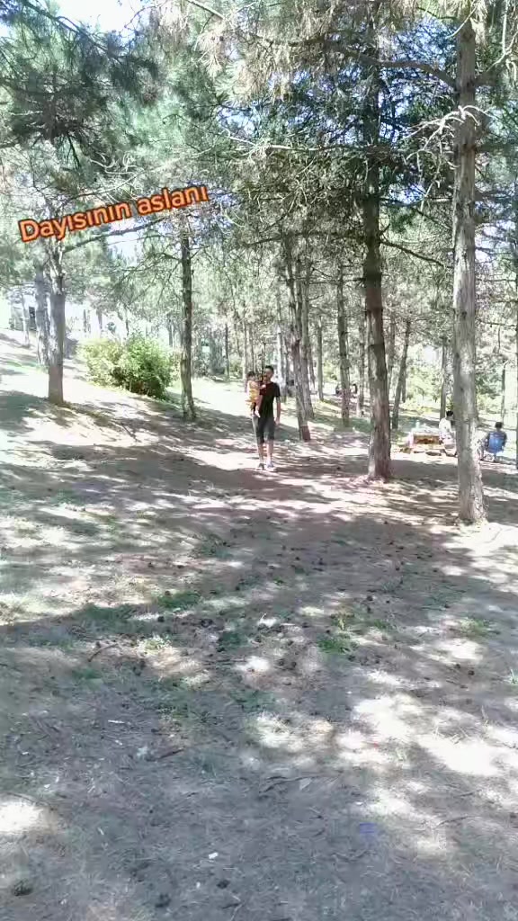 @ÇAM ALİ