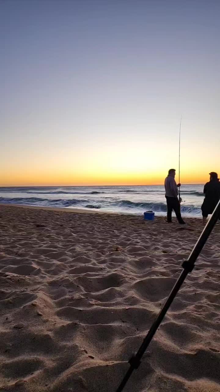 @ali_683