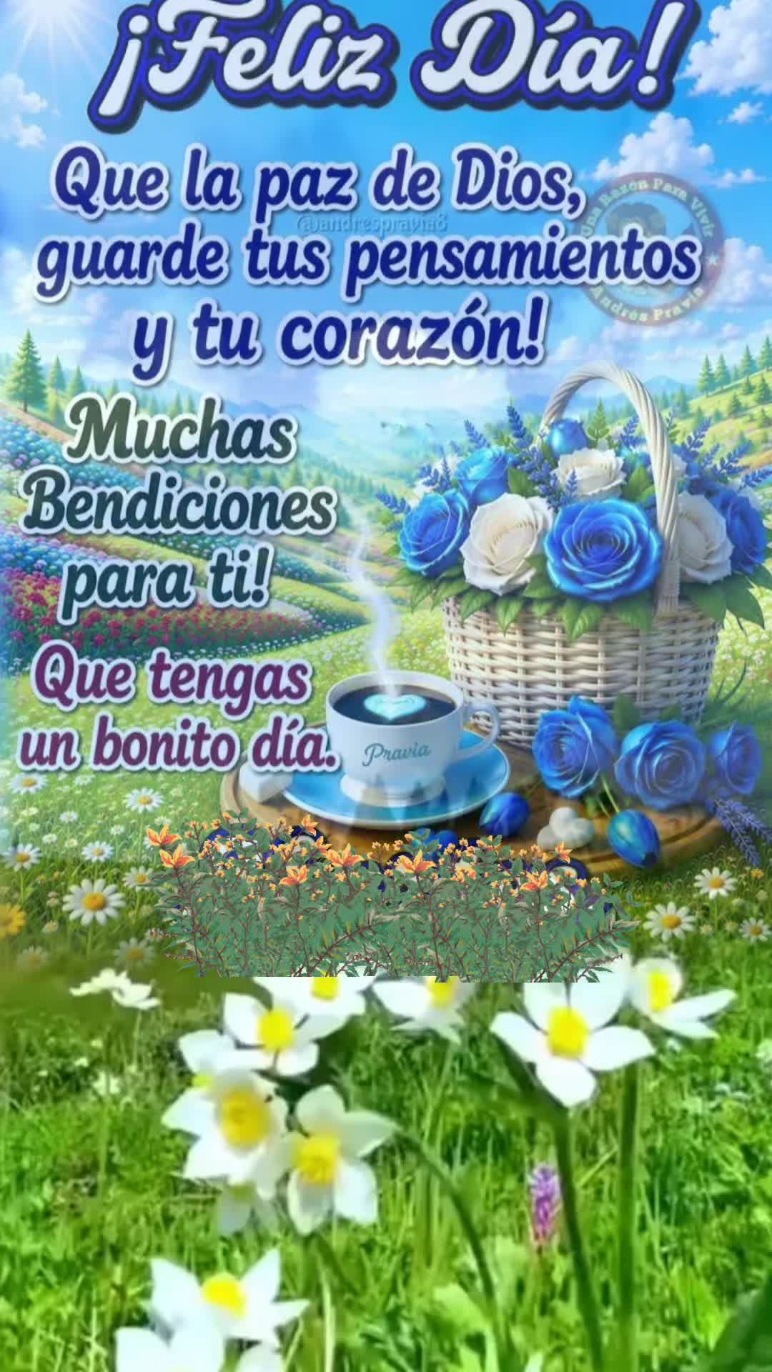@Isabel tadshi