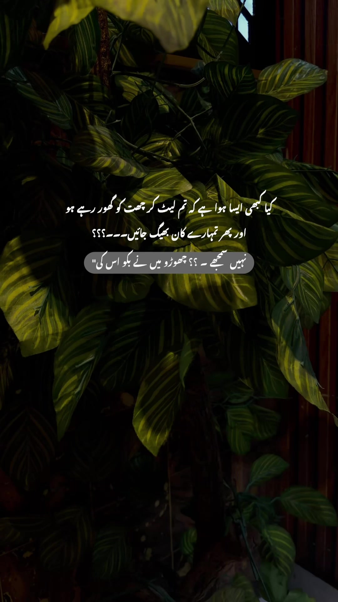 @𝙁𝙖𝙠𝙝𝙖𝙧 ♡