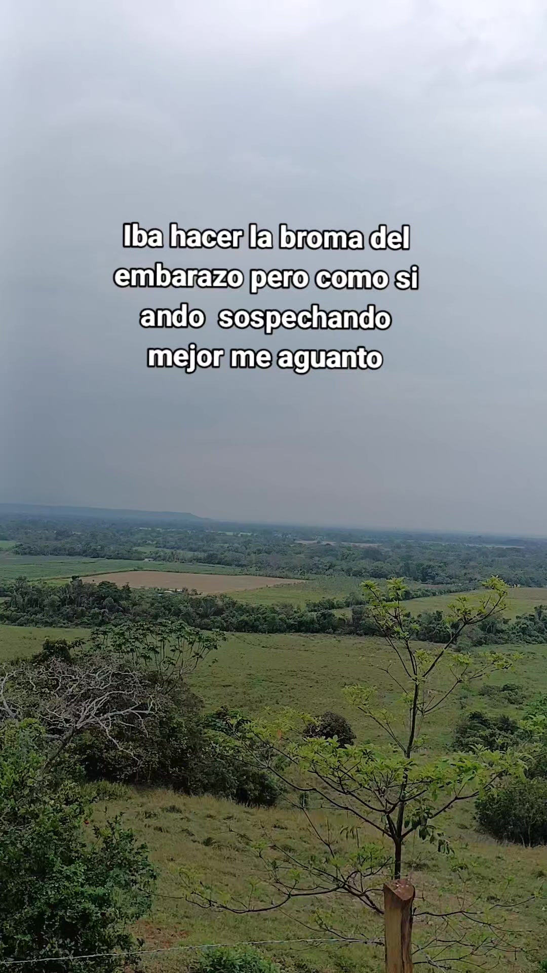 @jeimi Carrillo 🦋