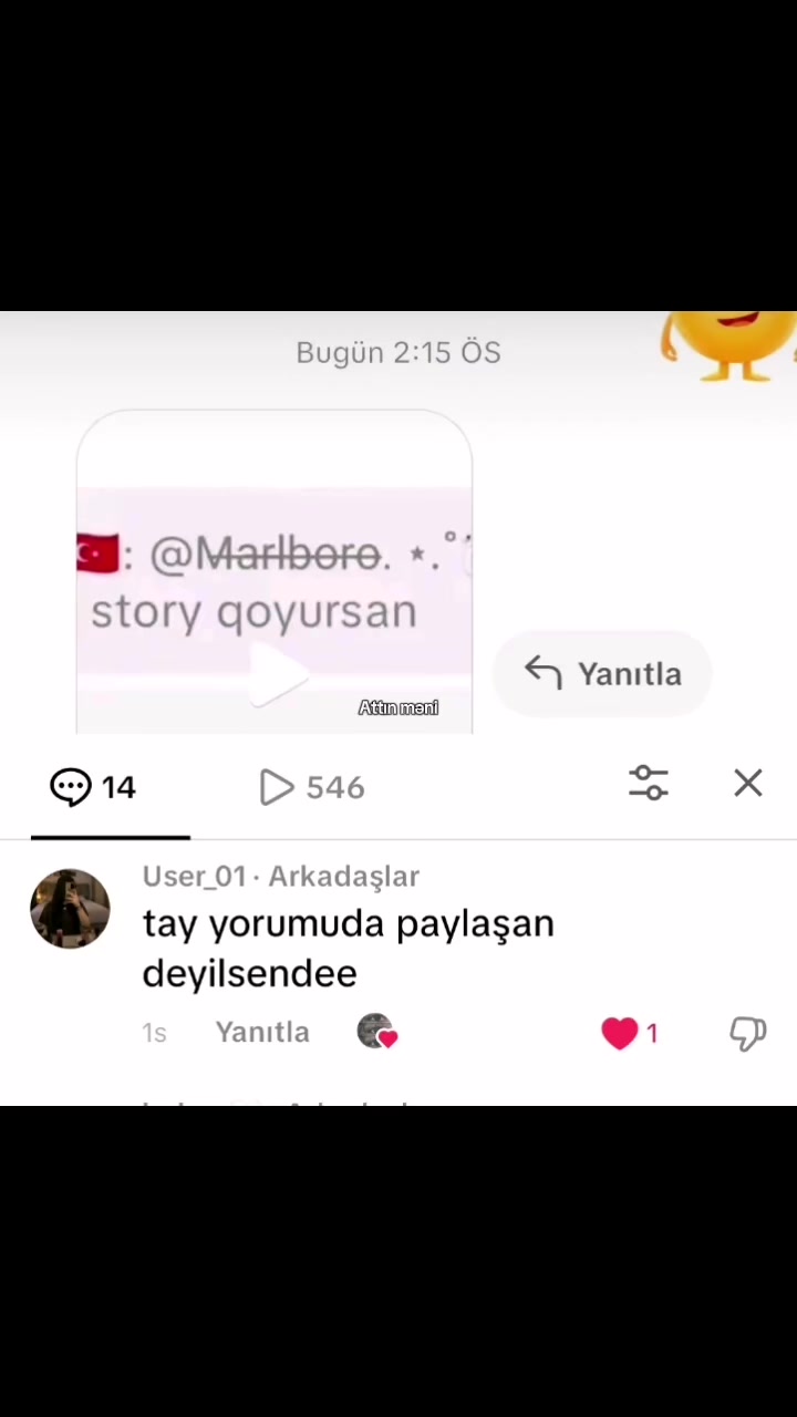 @M̶a̶r̶l̶b̶o̶r̶o̶. ⋆.˚🦢⋆