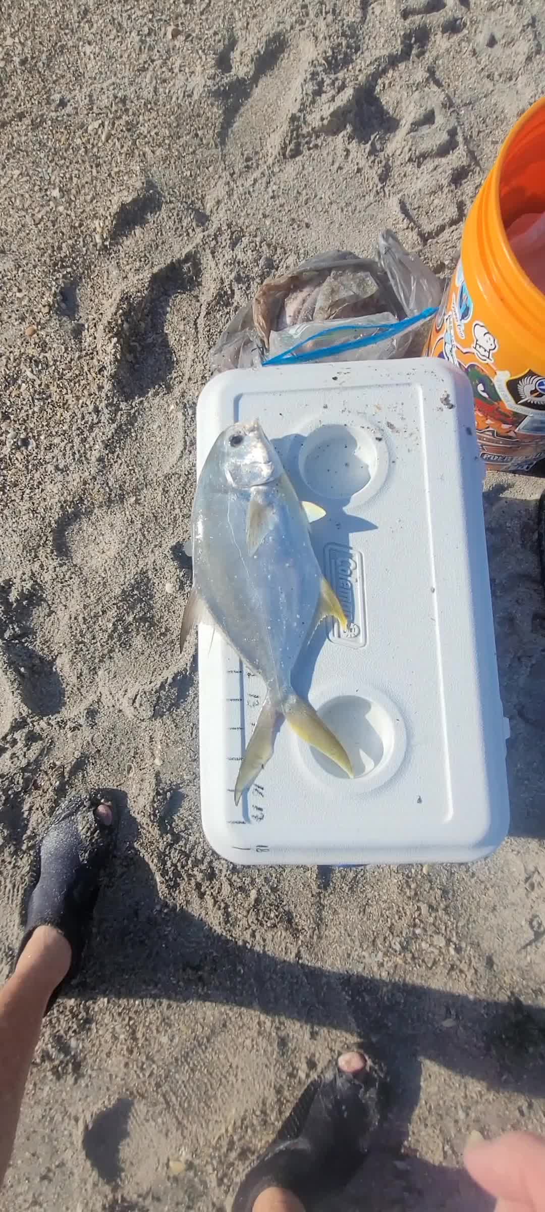 @Ghost of Space Coast Fishing
