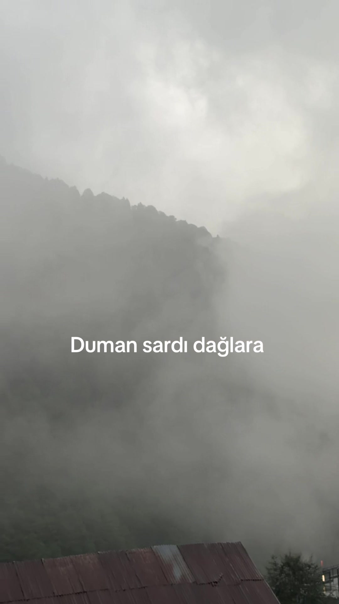 @Hilmi Olgaç