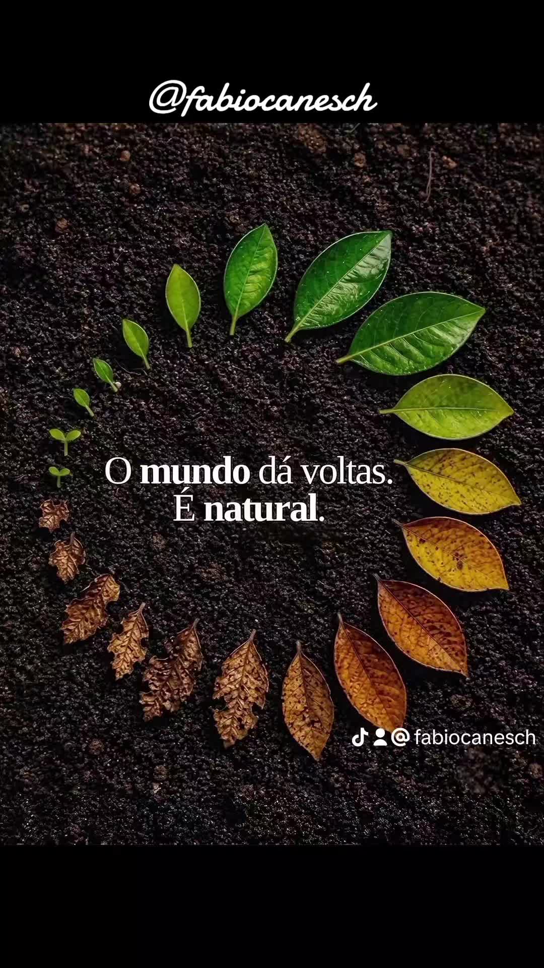 @F&aacute;bio caneschi de Oliveira