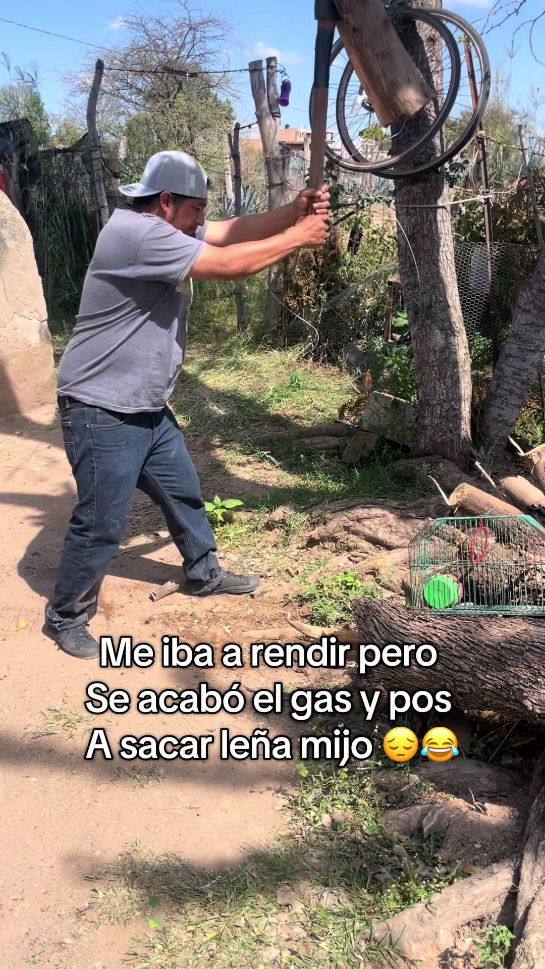 @Chico R