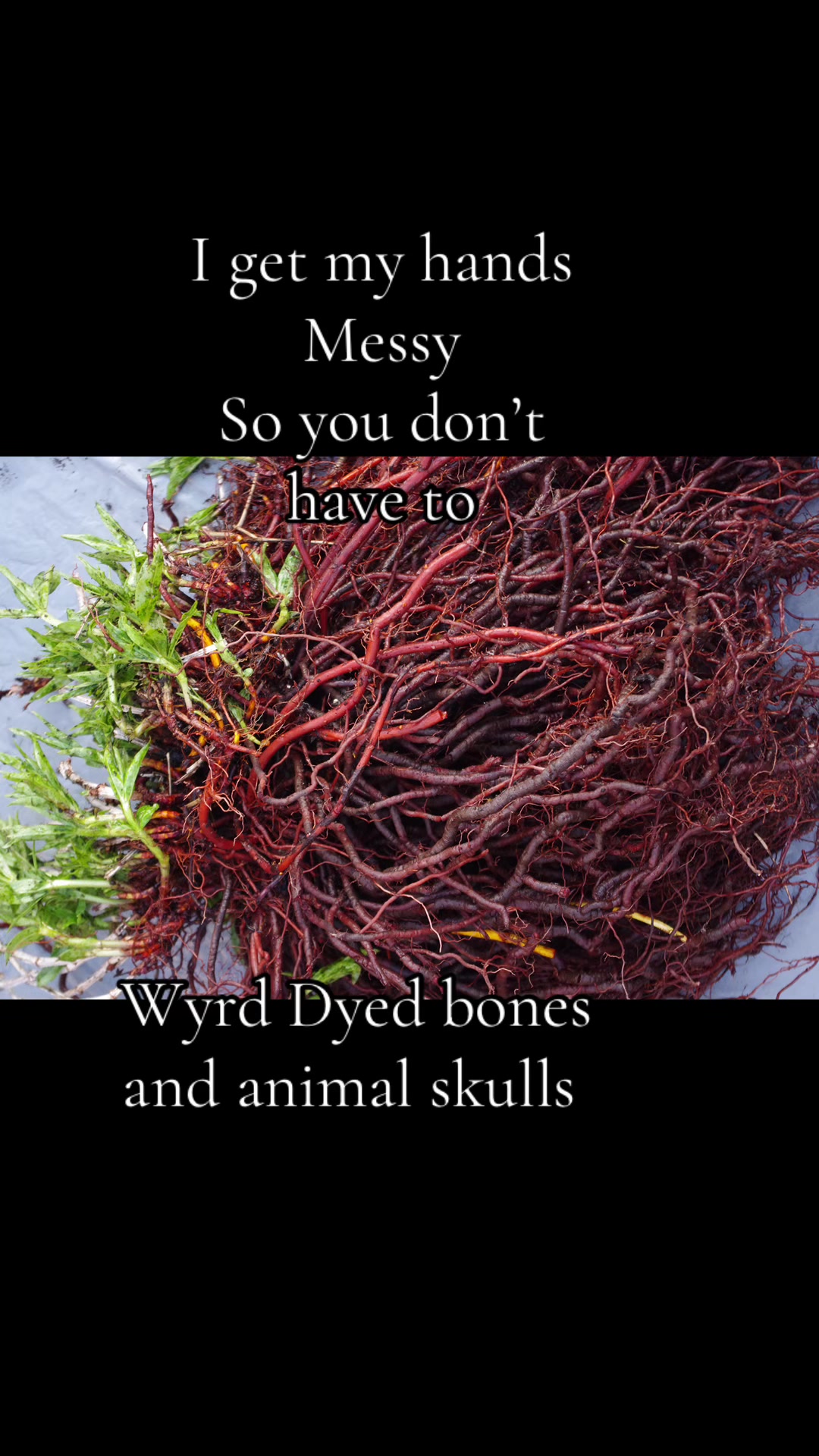 @WitchofWyrd🍁🇨🇦