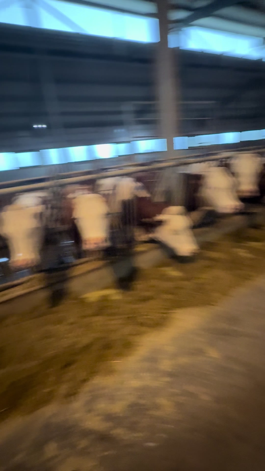 @Agro Effi Farm