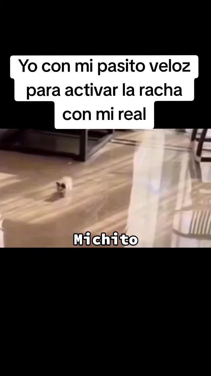 @Ing.Michito😸🇲🇽🇨🇴🌠🦁🐾