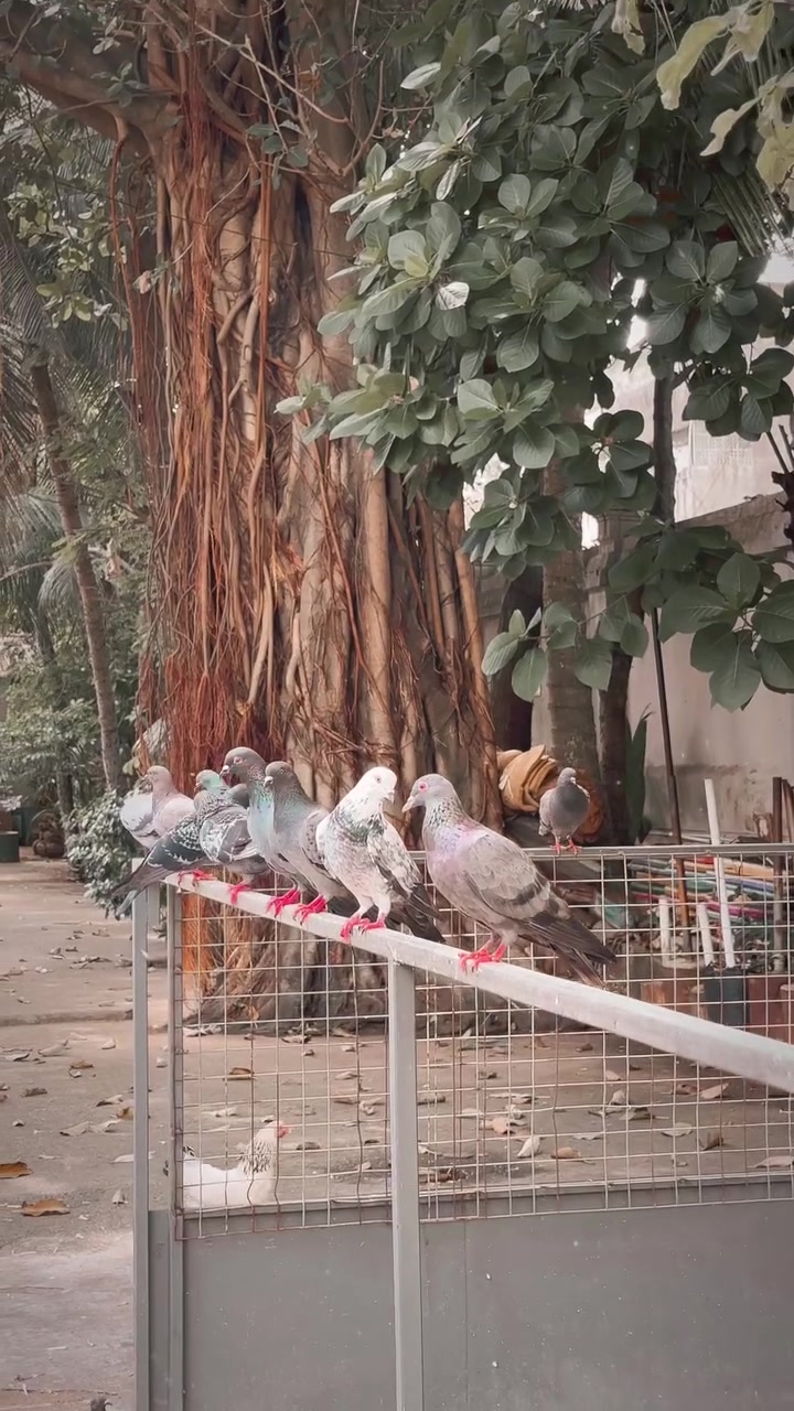@Thanujan_t