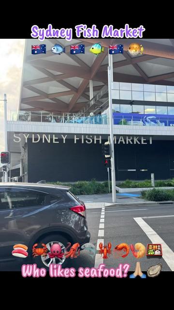 @🇦🇺 ANDY🤠🇦🇺