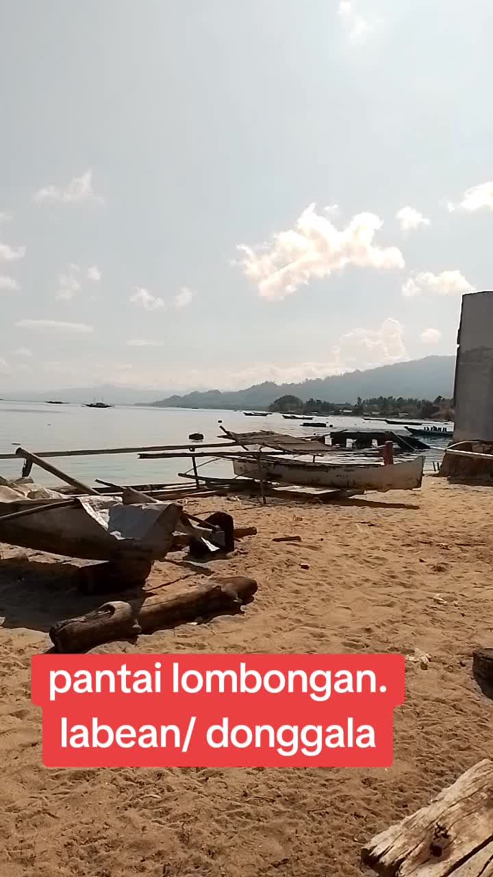 @alwinwajo636