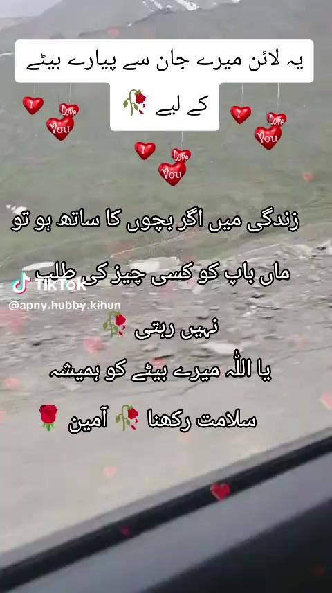 @Shumaila Akhtar