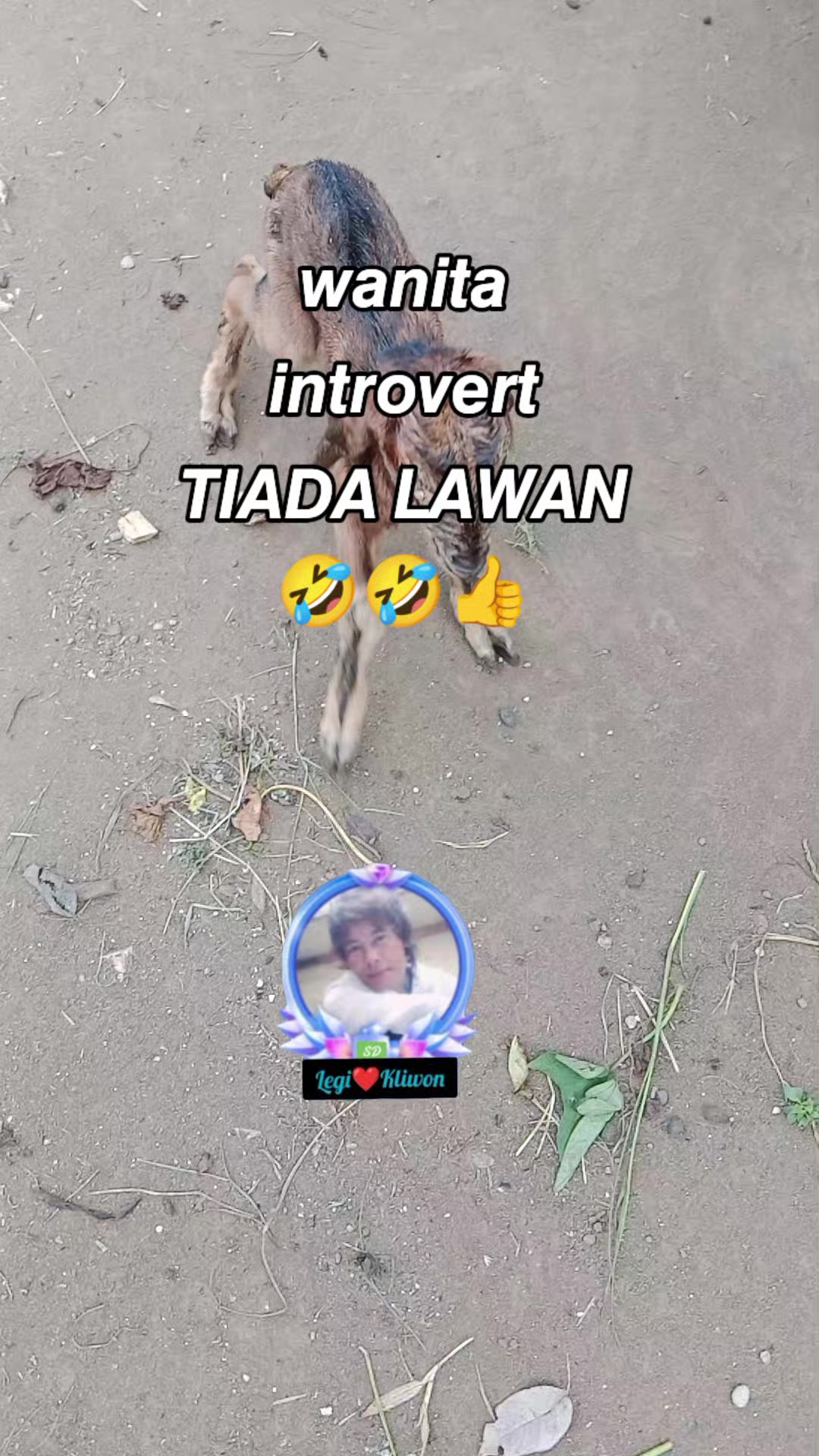 @DwiLingling