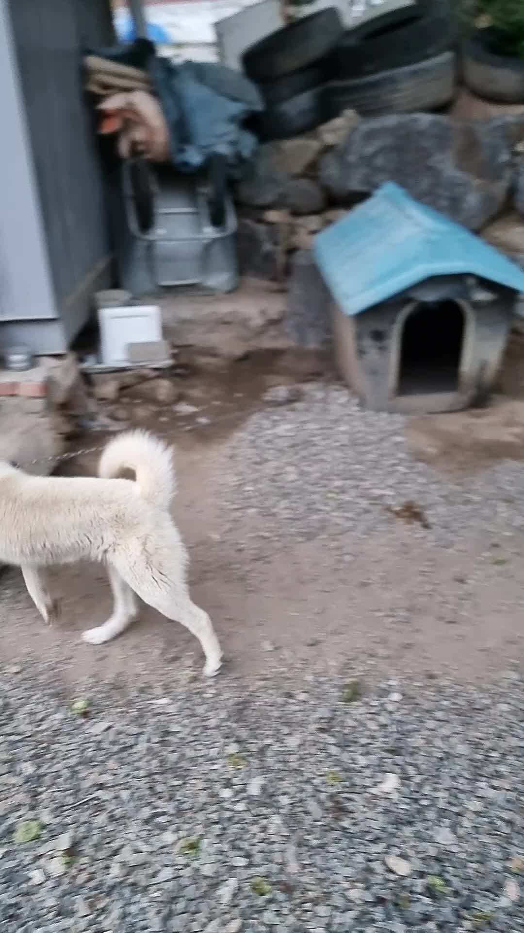 @블랙야크
