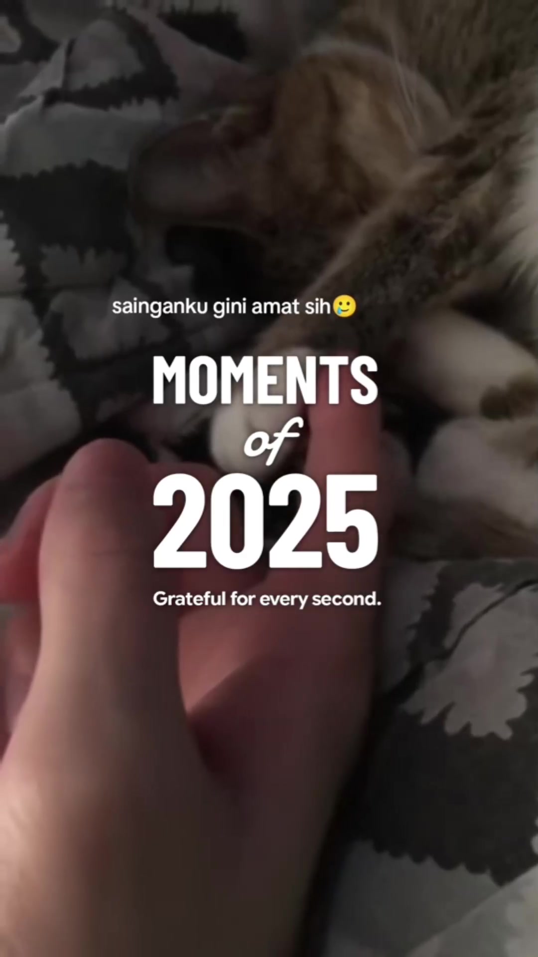 @Put_ry🦁