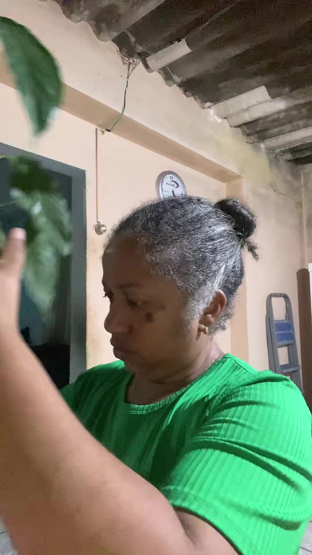 @Adriana Ferreira Brito