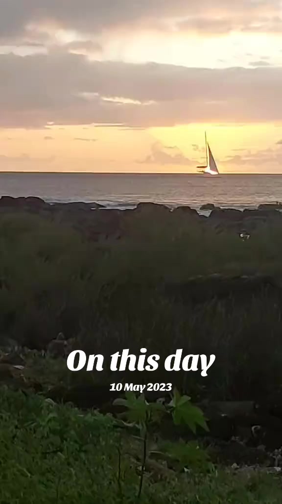 @Sunshinetina