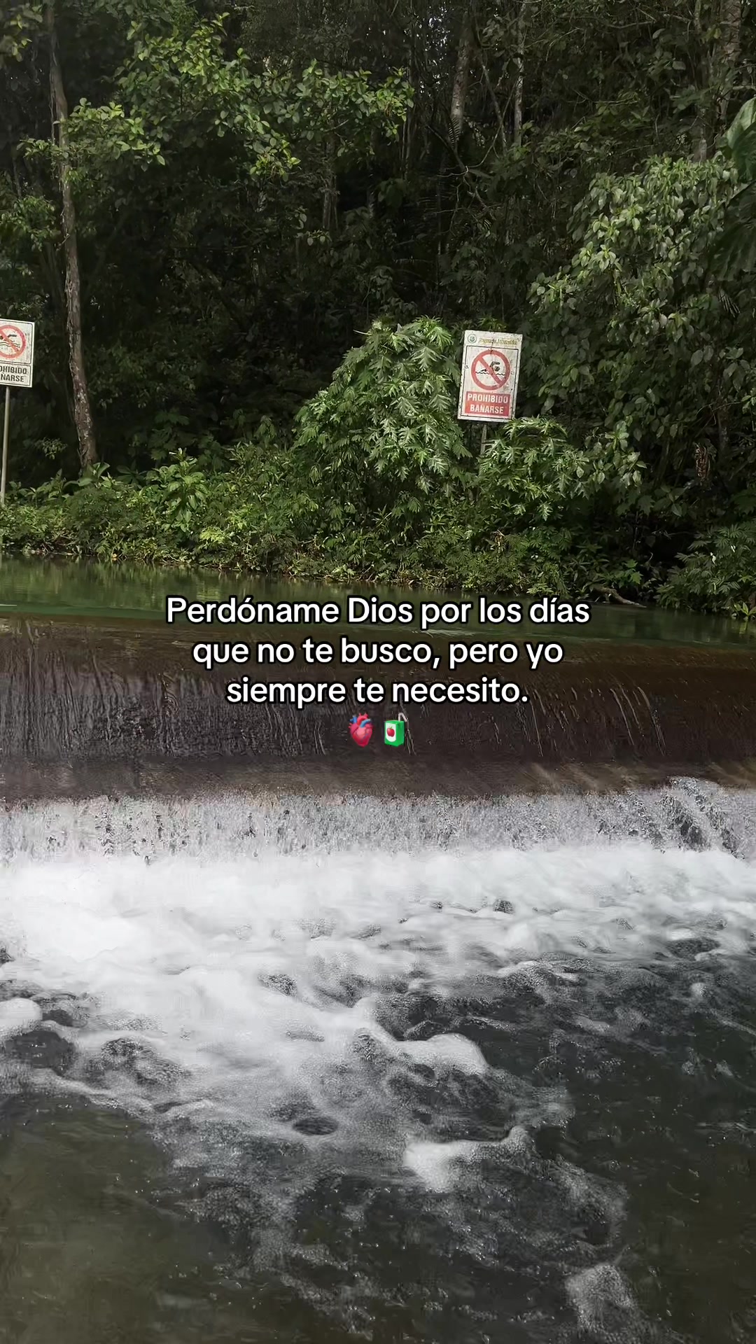 @Gatocix 🐱