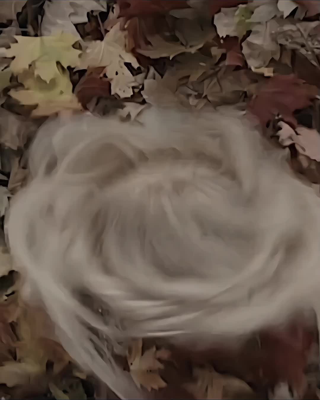 @фисташка:'
