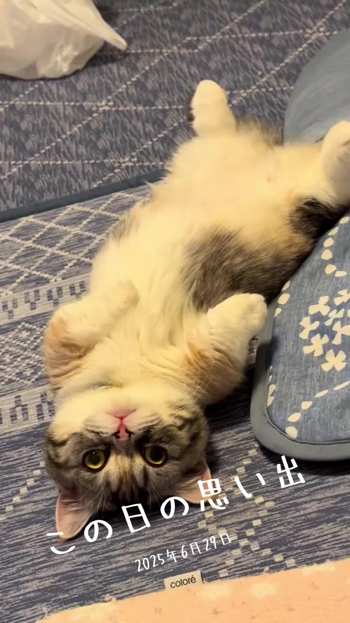 @ใณใฏใ๐ค๐