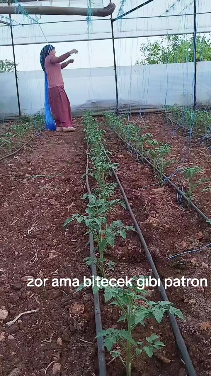 @havva gümüş