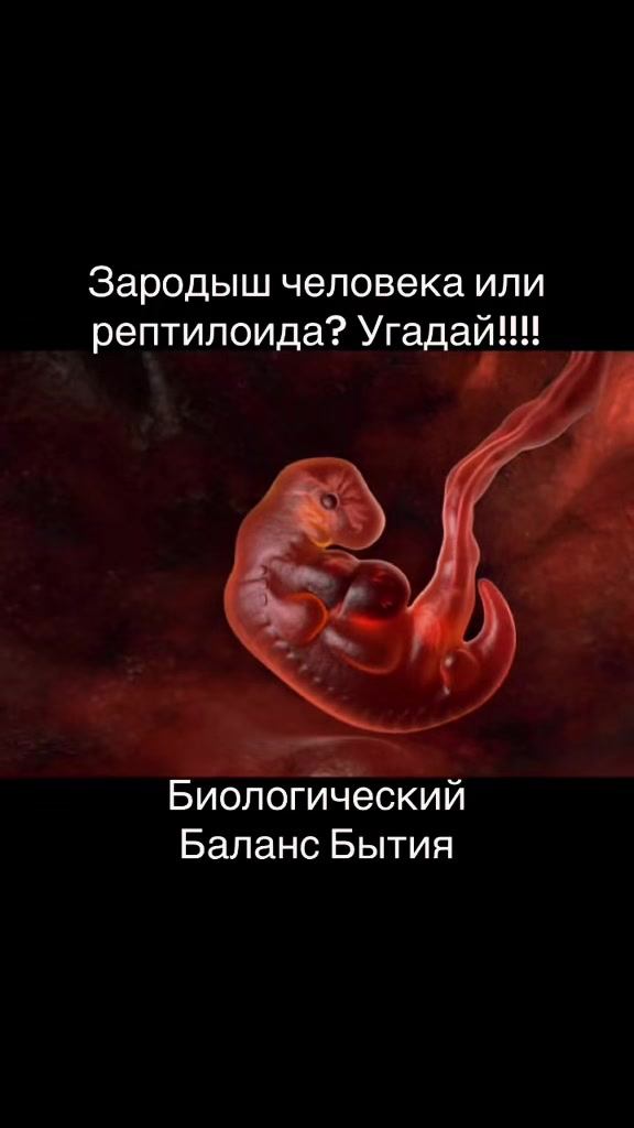@Биологический Баланс Бытия