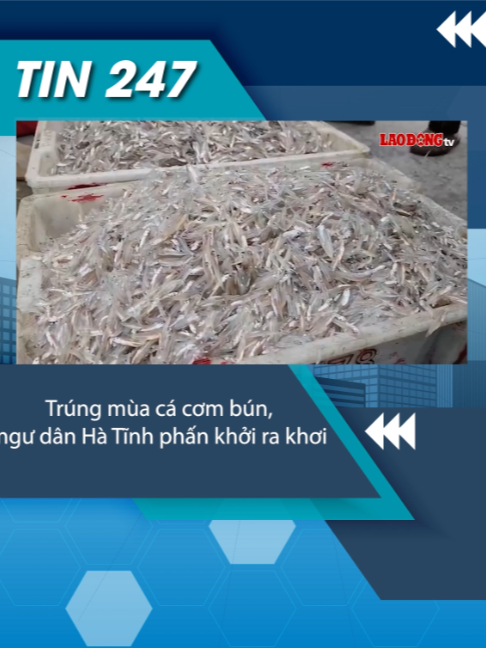 @Tin tức 24/7