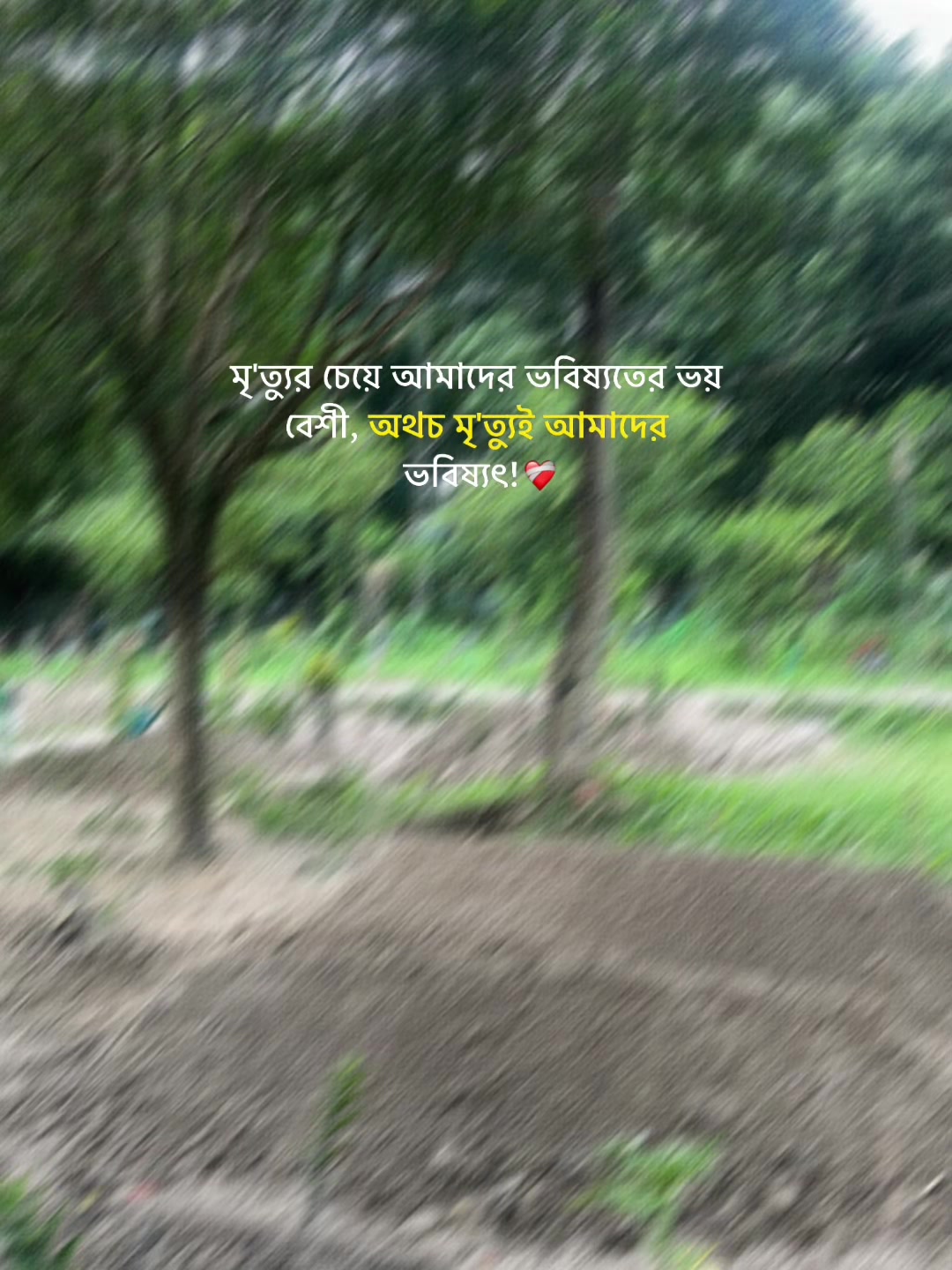 @Tabassum bushra