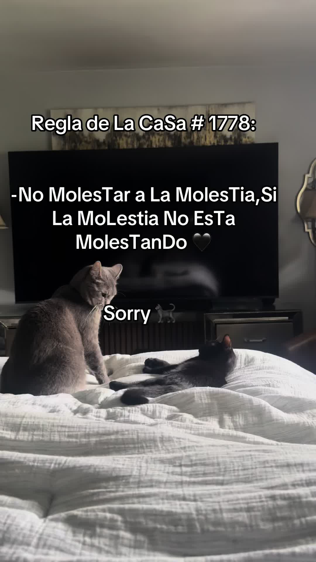 @Mario E Silva