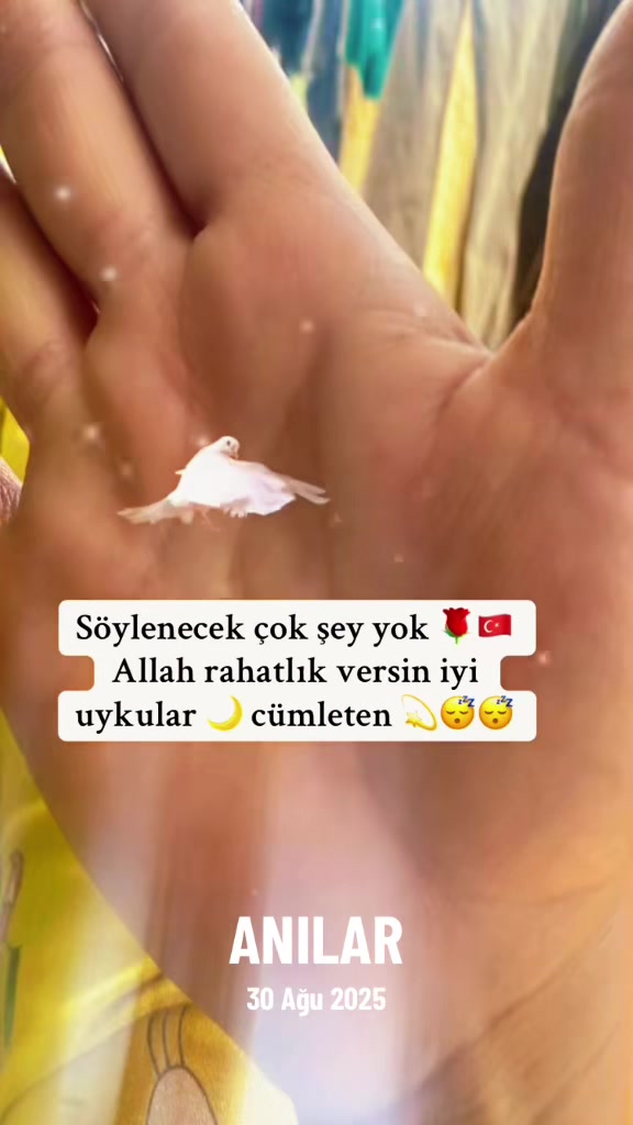 @🇹🇷 ͜͡✭𓃥 αүүιℓ∂ιz🦅🐺🤘A.S✨9
