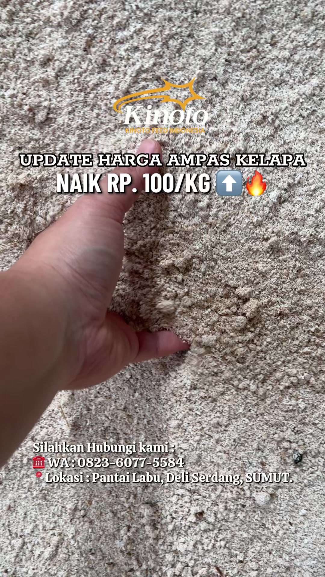 @CV. KINOTO FEED INDONESIA